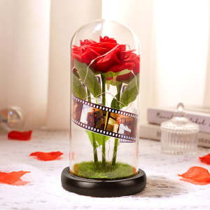 Benutzerdefinierte Kamerarolle mit Rose LED-Lampe Blumen-Fotoalbum mit Film Black Base – Geschenk für Sie