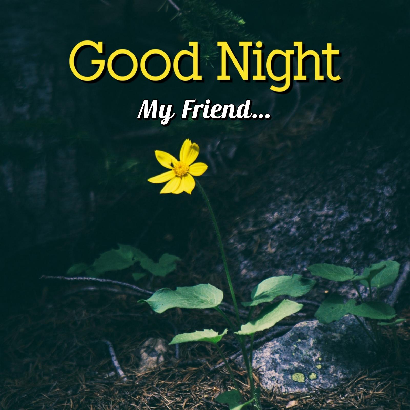 Friends Good Night Shayari, Good Night Shayari In Hindi For Friends, Good Night Images Hindi Shayari For Friend 3