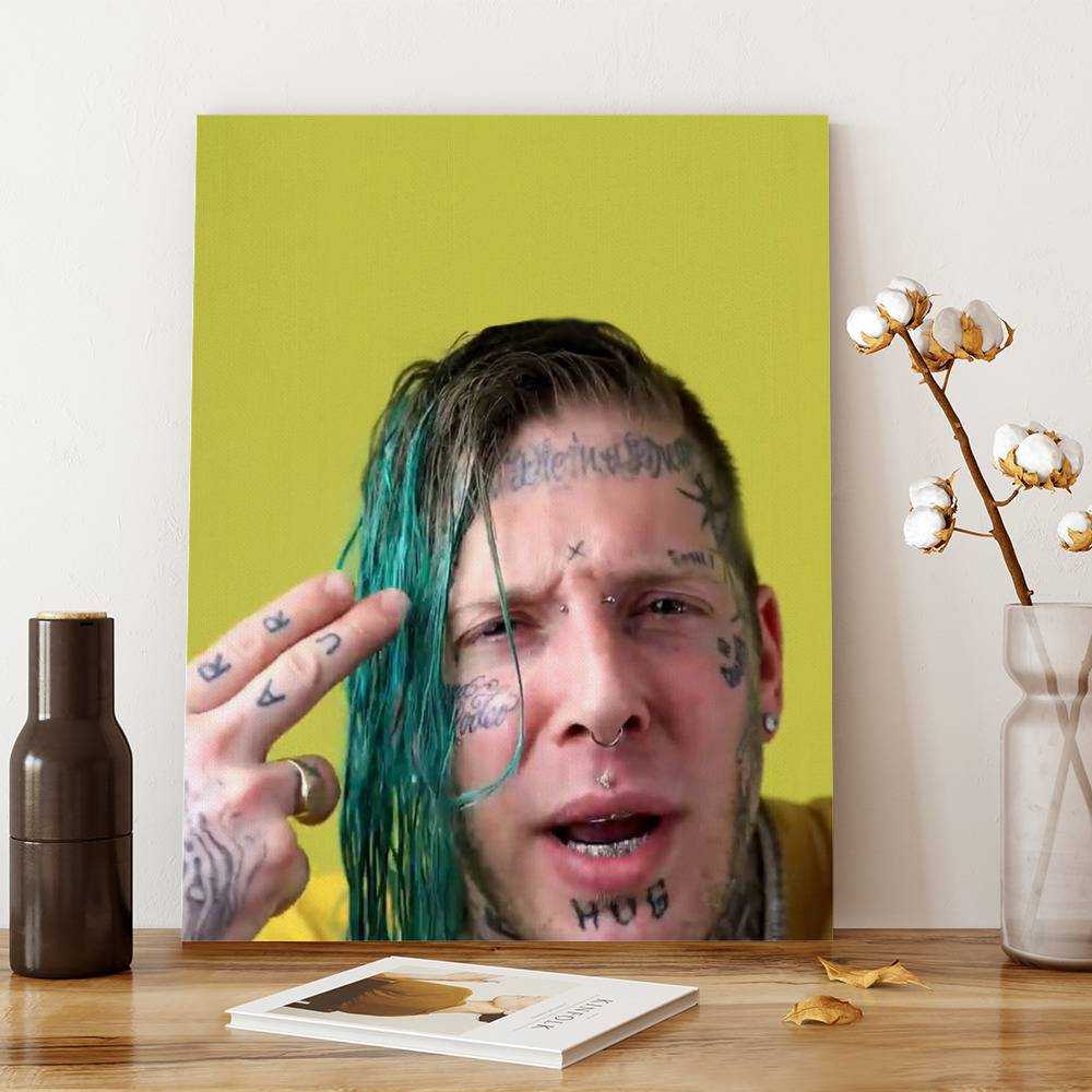 Tom Macdonald The System Canvas Classic Celebrity Canvas