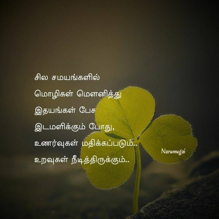 Motivational Good Morning Quotes In Tamil