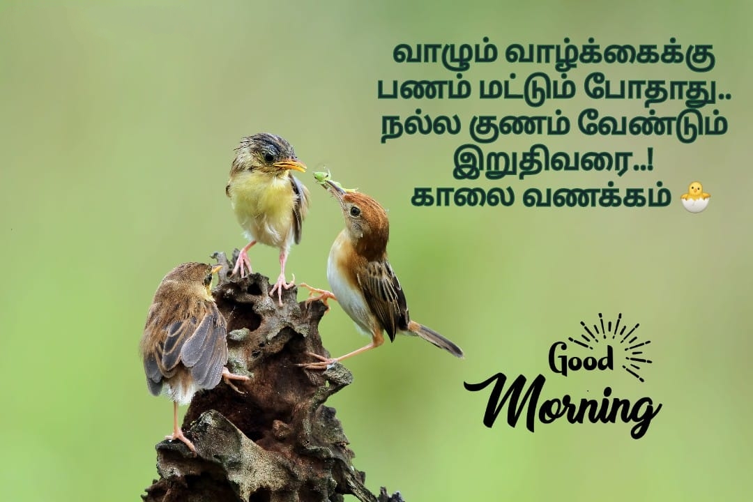 Good Morning Motivational Quotes In Tamil