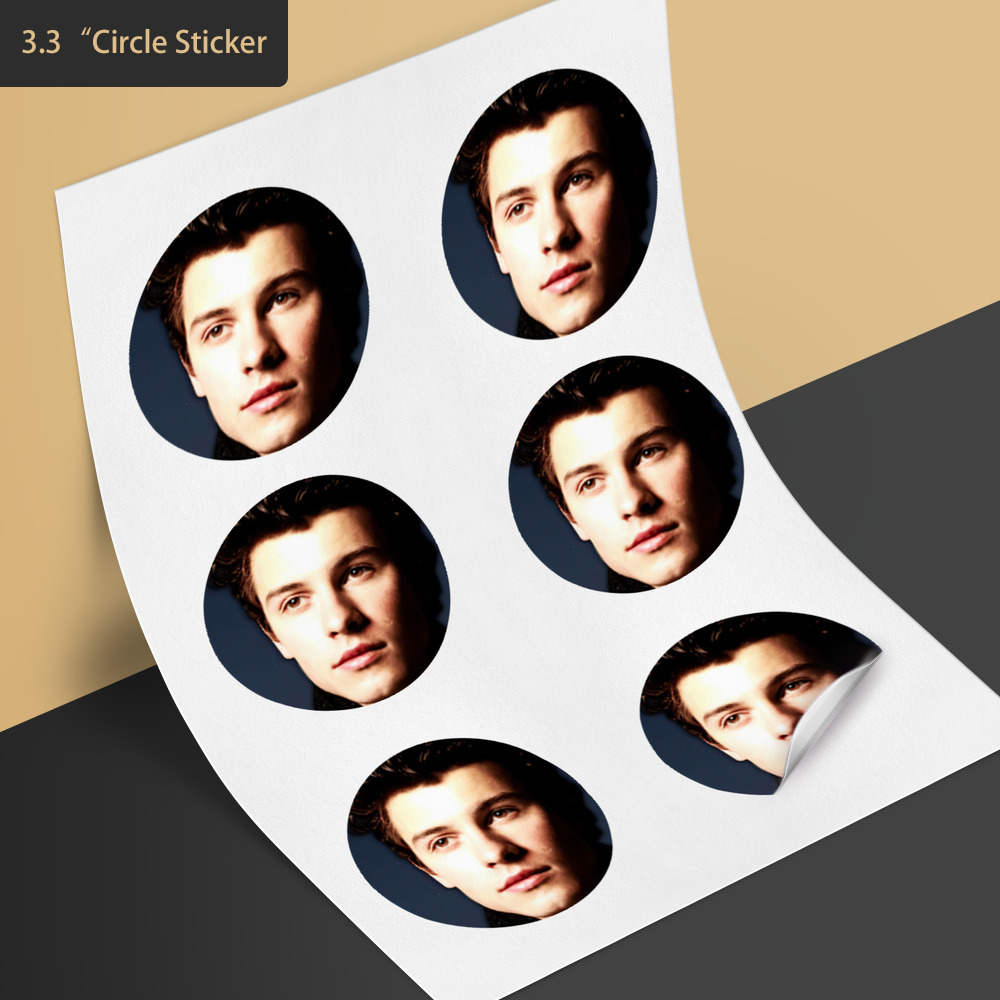 Shawn Mendes Lyrics Stickers for Sale