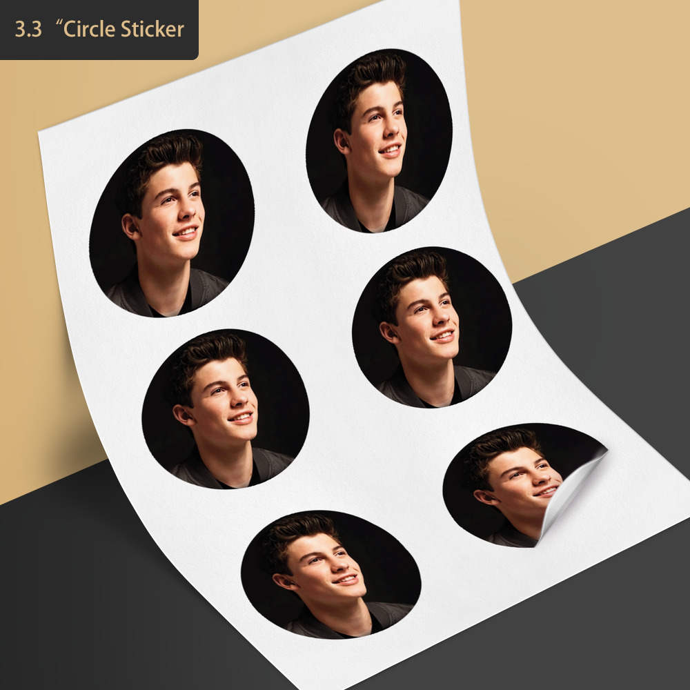 Shawn Mendes Lyrics Stickers for Sale