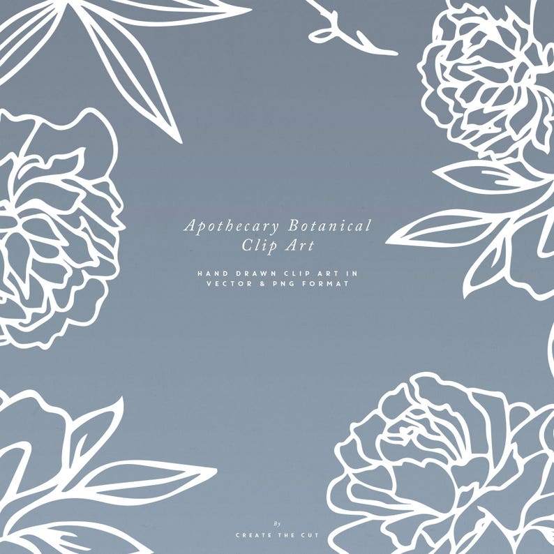 Apothecary Rose SVG Line Art Floral Clipart#4