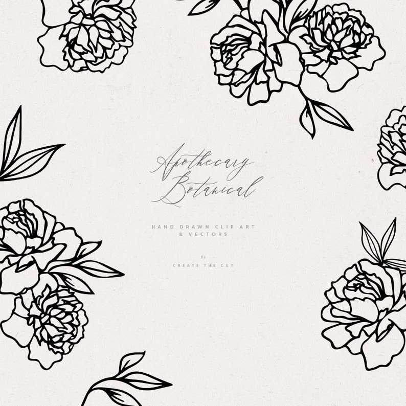Apothecary Rose SVG Line Art Floral Clipart
