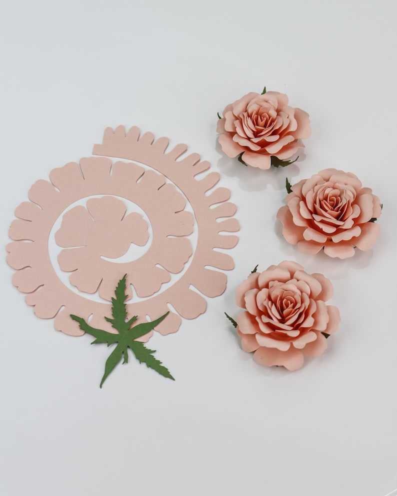 Rolled Rose Paper Flower SVG | Digital File for Cricut & Silhouette