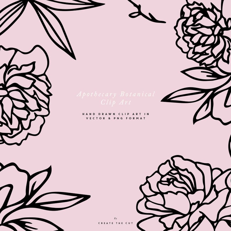 Apothecary Rose SVG Line Art Floral Clipart | rosesvg.shop