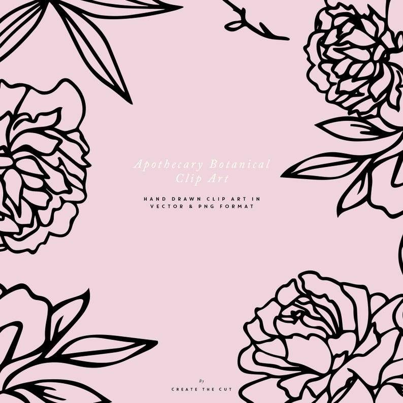 Apothecary Rose SVG Line Art Floral Clipart#6
