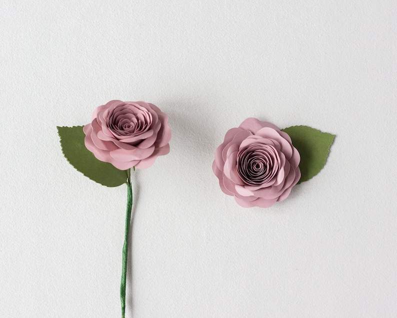 Paper Rolled Rose Flower for Cricut and Silhouette includes SVG#4