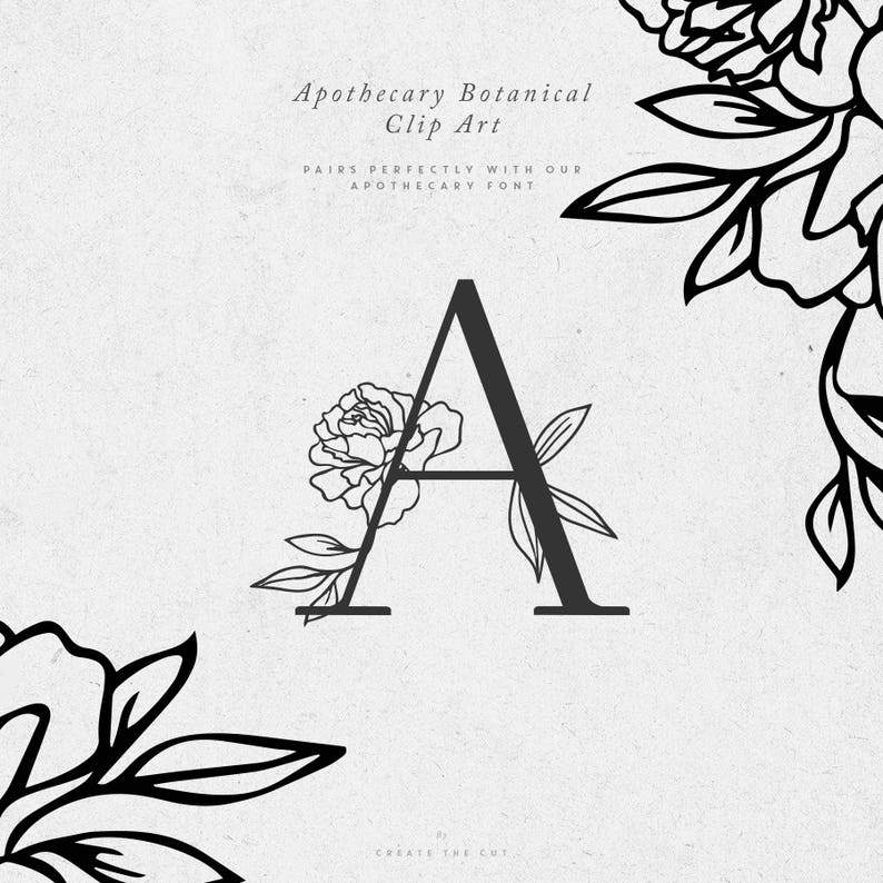 Apothecary Rose SVG Line Art Floral Clipart#3