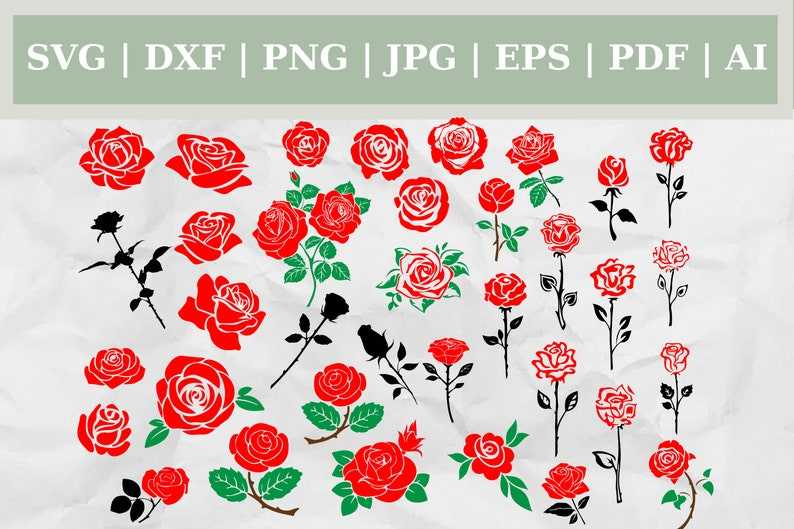 Rose Bundle Roses Leaves Svg
