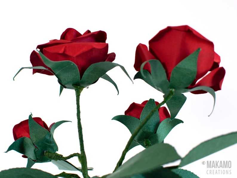3D Paper Rose Svg Rose Template For Cricut#3