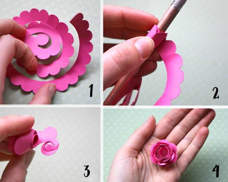 Rolled Flower Svg, 3D Flower Svg, Paper Flower Svg#4