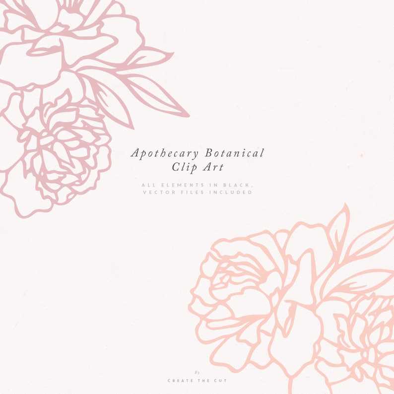 Apothecary Rose SVG Line Art Floral Clipart#5