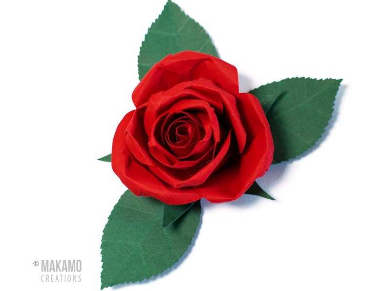 3D Paper Rose Svg Rose Template For Cricut#4