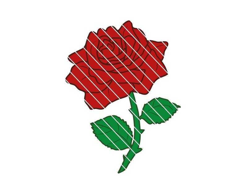 Rose Svg Beauty And The Beast Svg