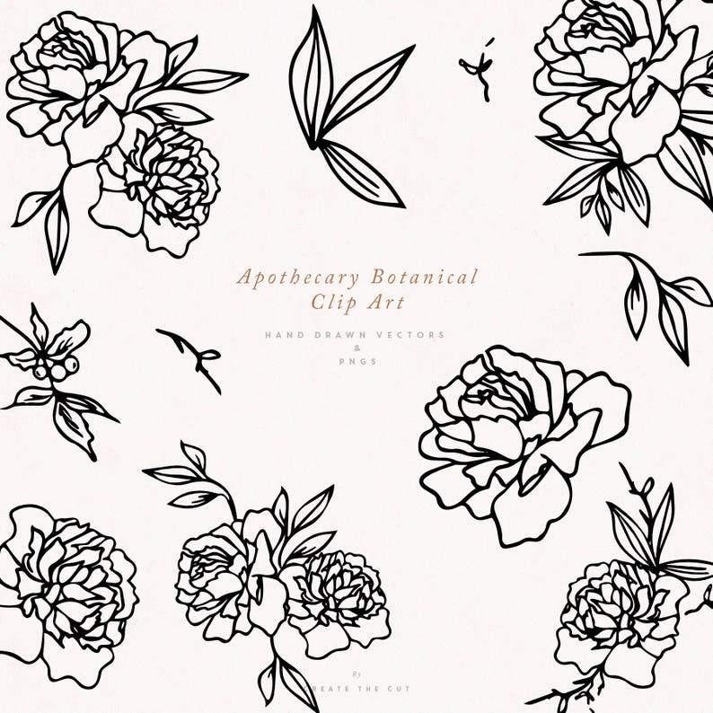 Apothecary Rose SVG Line Art Floral Clipart