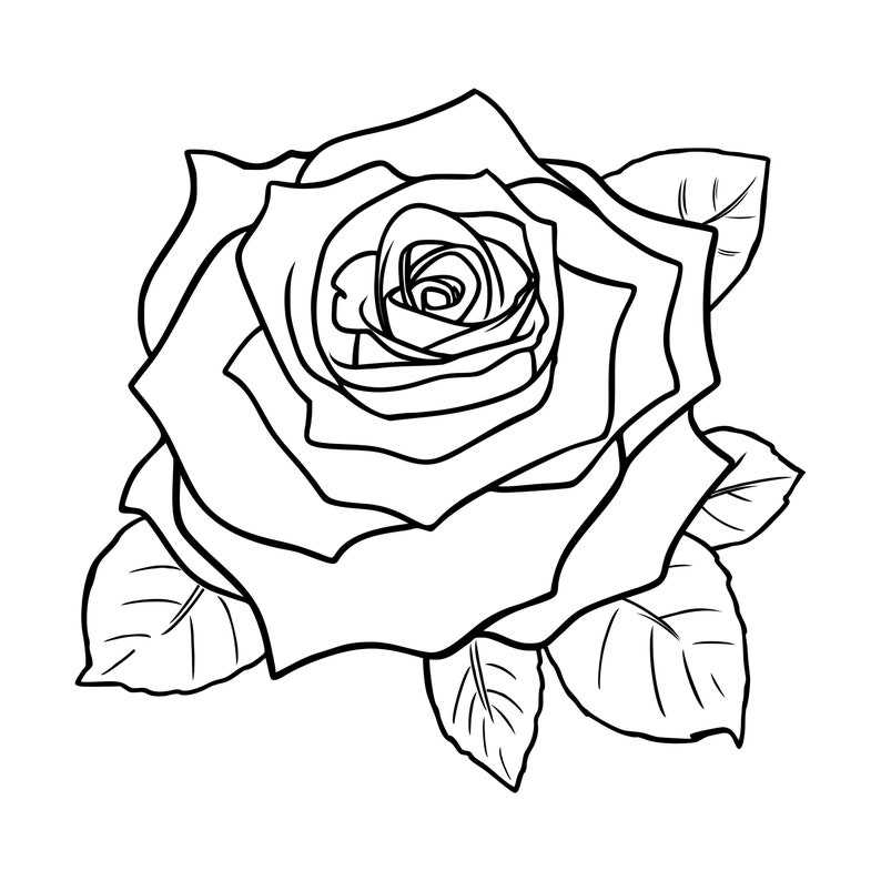 16 Rose SVG Bundle, Rose Silhouette Bundle#10