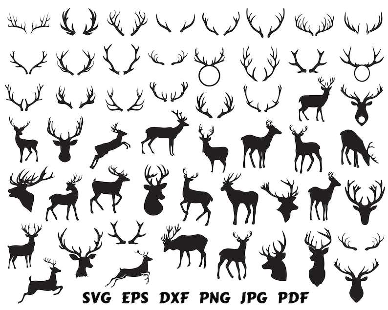 Products - High Quality SVG
