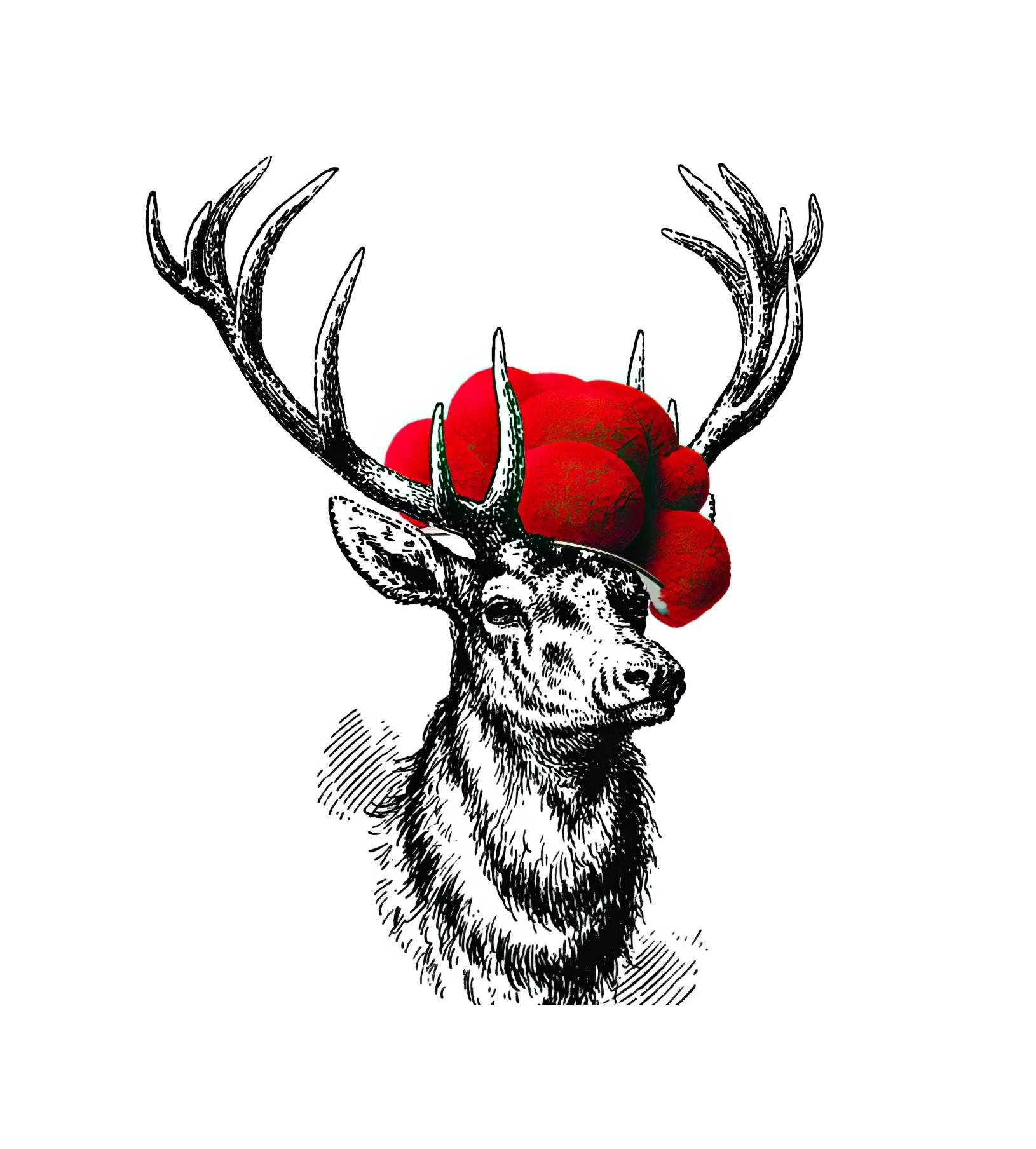 Deer SVG Free High Quality Perfect for your Design