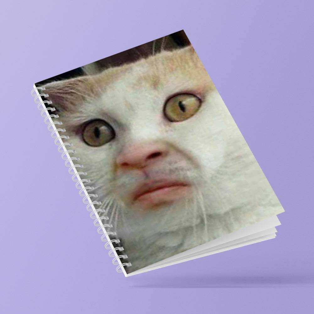 Sad Face Meme Spiral Notebooks for Sale