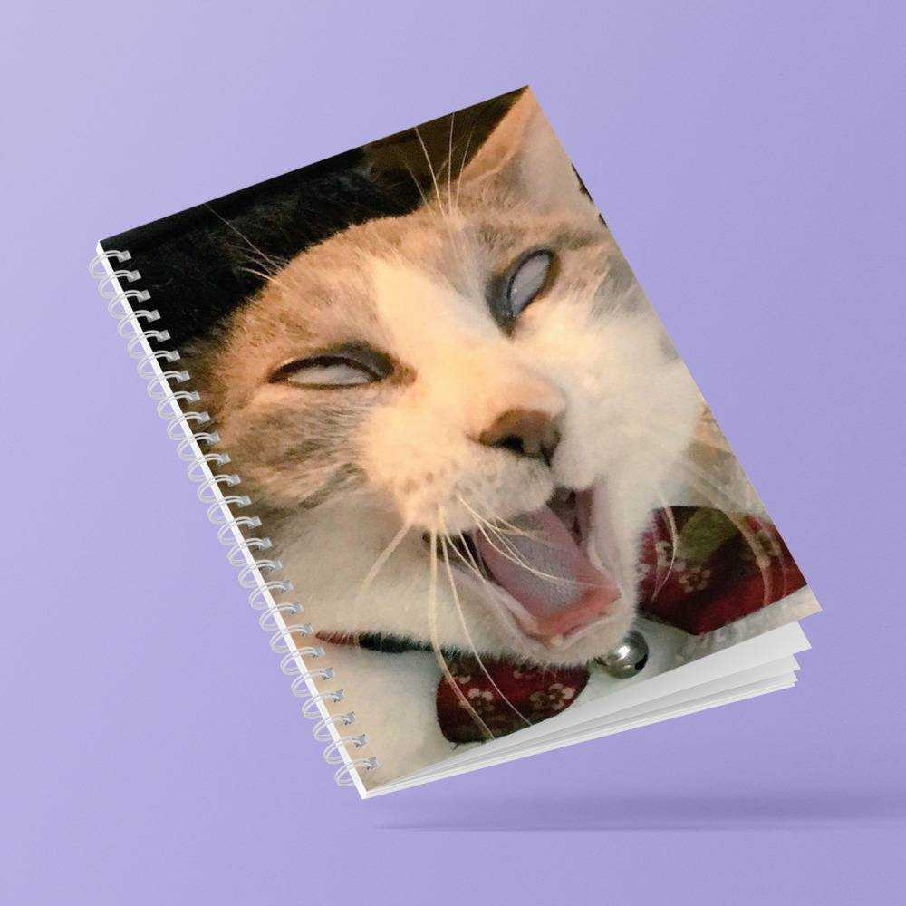 Surprised Cat Spiral Notebook