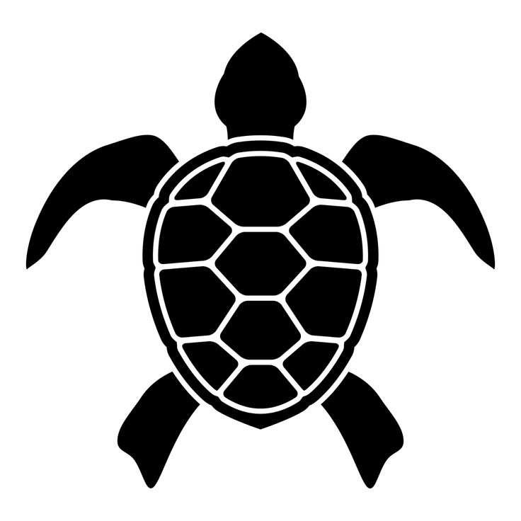 Turtle Free Svg High Quality Perfect for your Design | turtlesvg.com