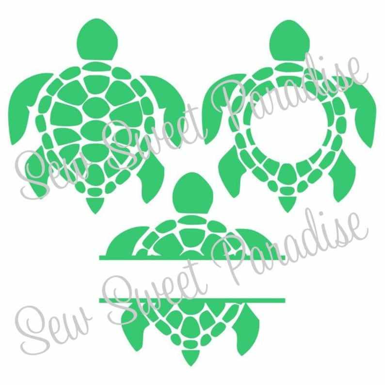 Download Turtle SVG Designs For Your Craft Projects