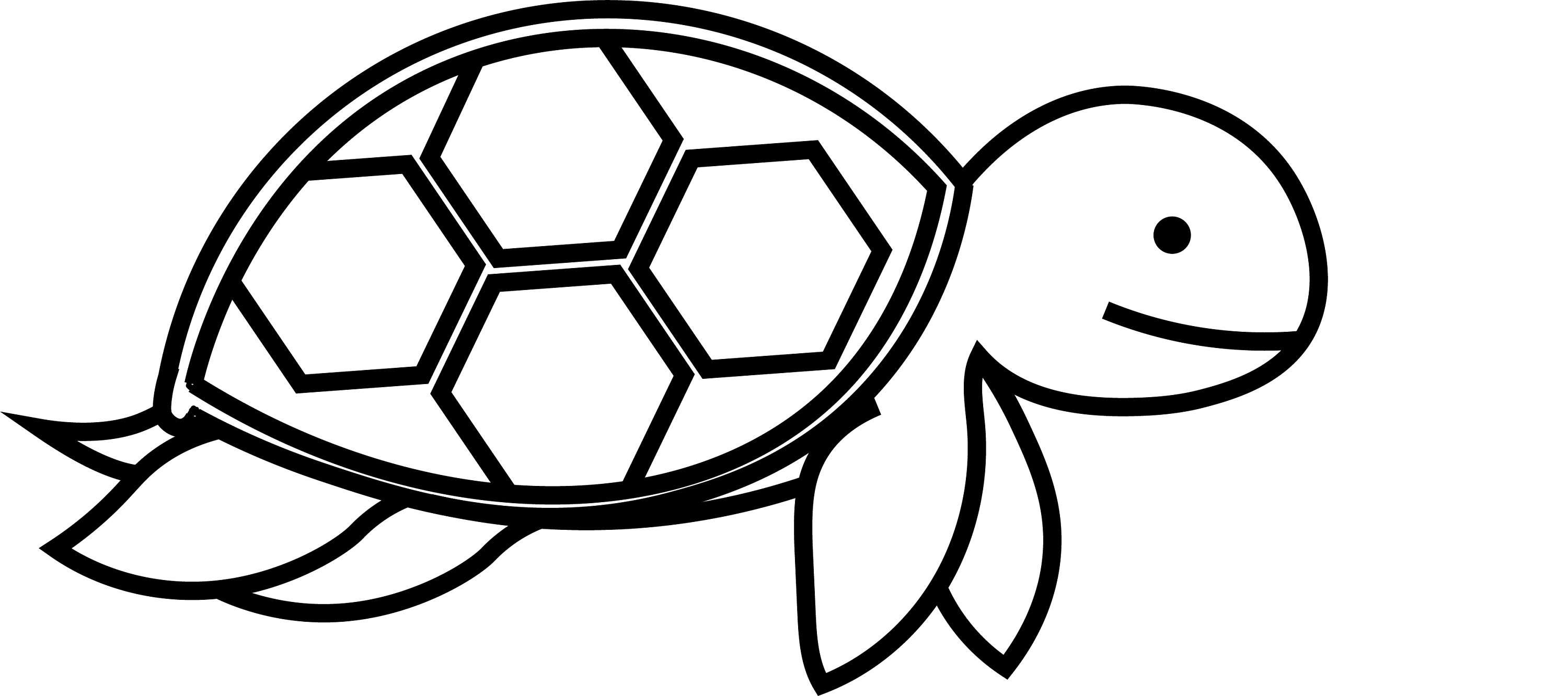 Sea Turtle SVG Free High Quality Perfect for your Design 