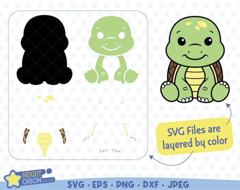 Cute Baby Turtle SVG Woodland Animal Sitting Turtle PNG#3