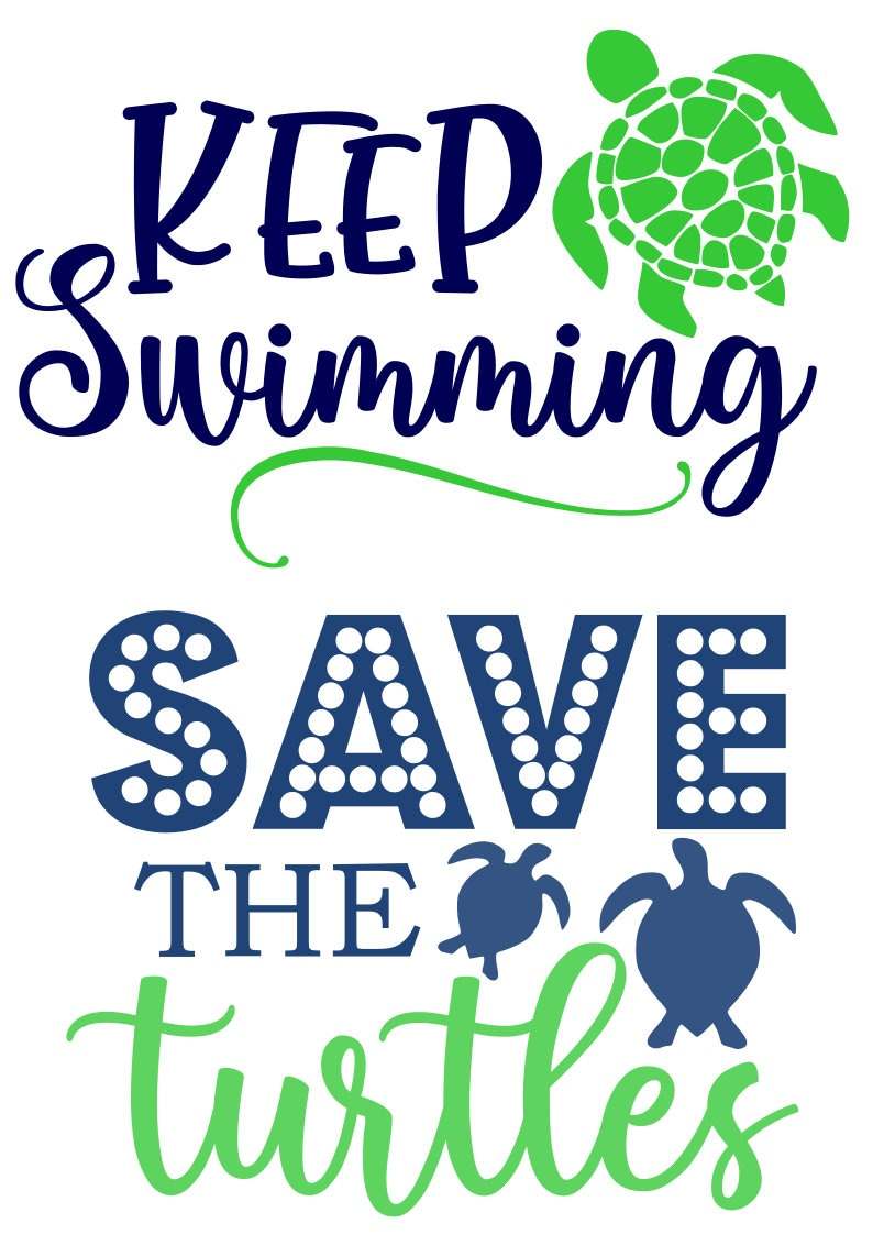 Turtle SVG Bundle Sea Turtle Frames SVG Digital Download Cut Files#3