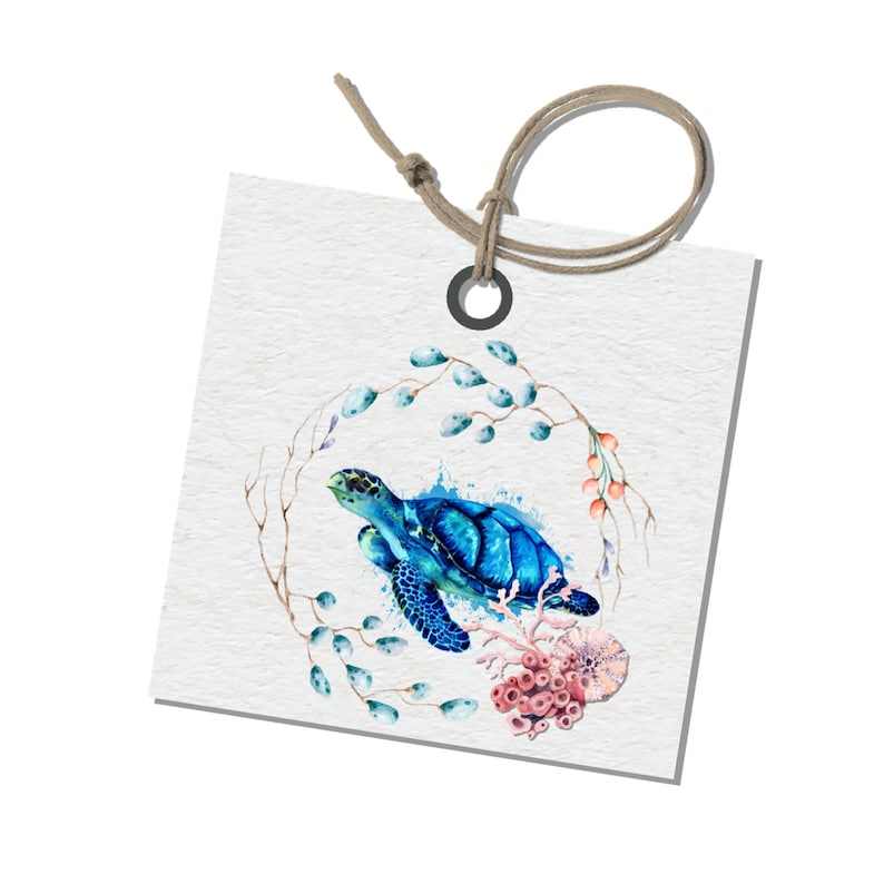 Sea Turtle PNG Turtle Ocean Sublimation Design Ocean Sea Life Clipart#3