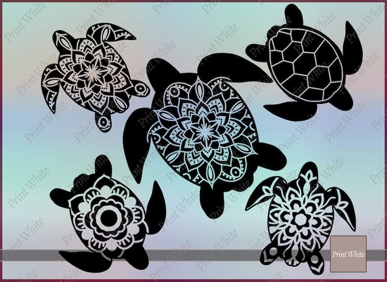 Download Turtle SVG Designs For Your Craft Projects