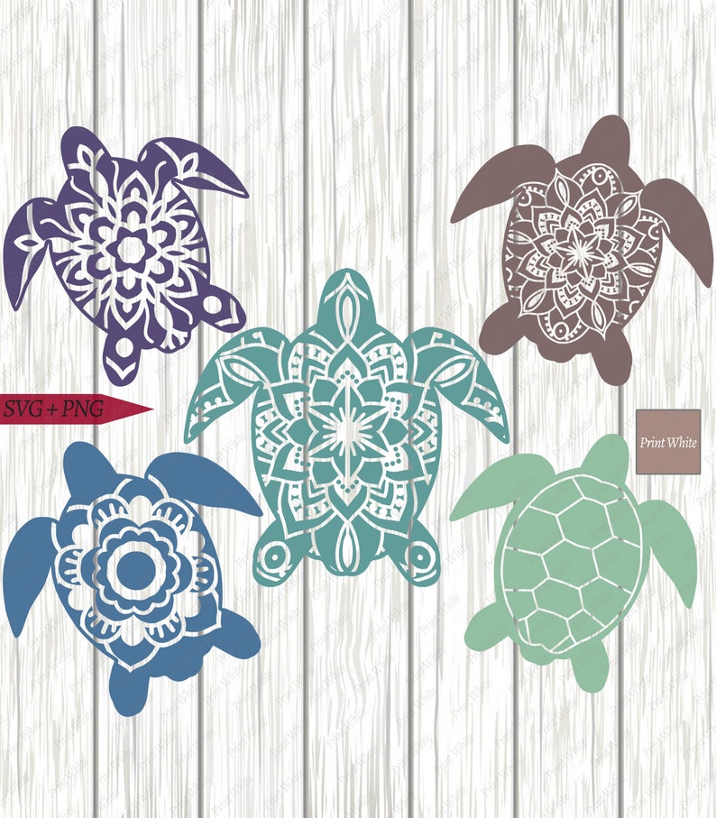 Turtle SVG Bundle Sea Turtle Cut File Set