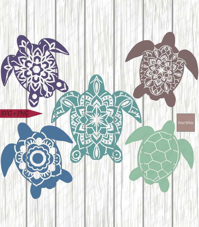Turtle SVG Bundle Sea Turtle Cut File Set#1
