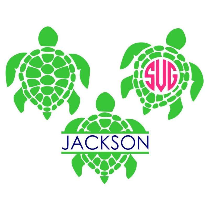 Download Turtle SVG Designs For Your Craft Projects 