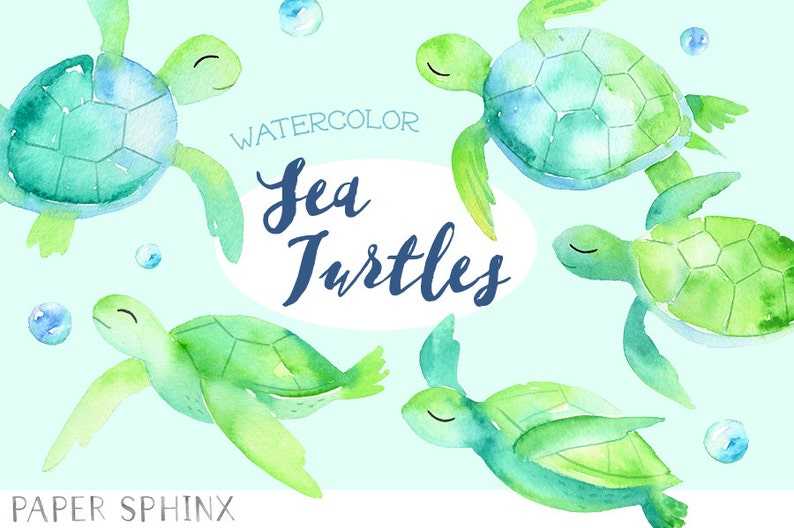 Watercolor Sea Turtle SVG Clipart Creativity and Fun Digital Download  