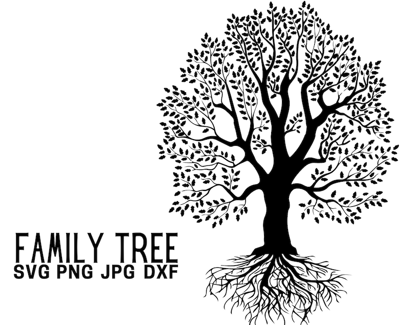 Family Tree Svg, Tree of life svg