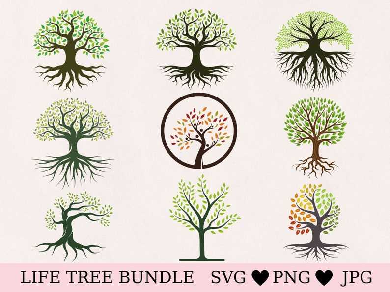Family Tree Svg Cut File, Tree Of Life Svg Tree Of Life Bundle Family Tree Svg#1
