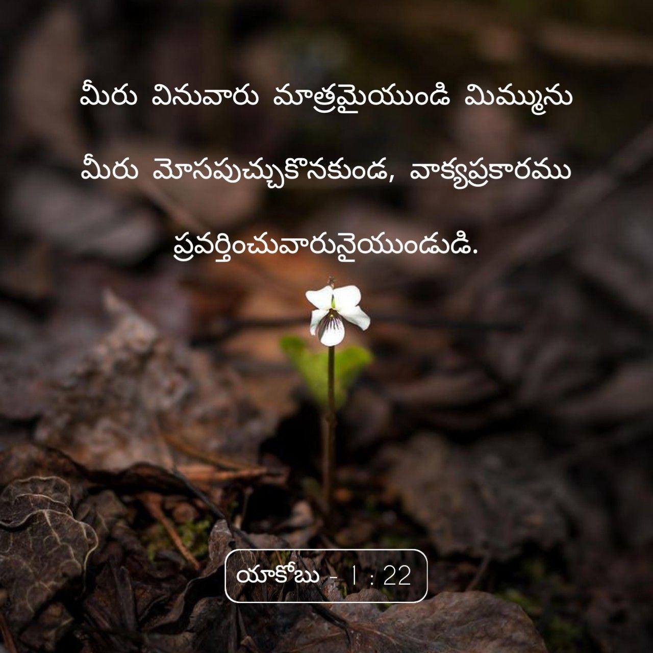 Jesus Images With Quotes Telugu 4