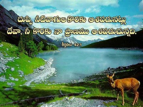 Psalm Bible Quotes In Telugu