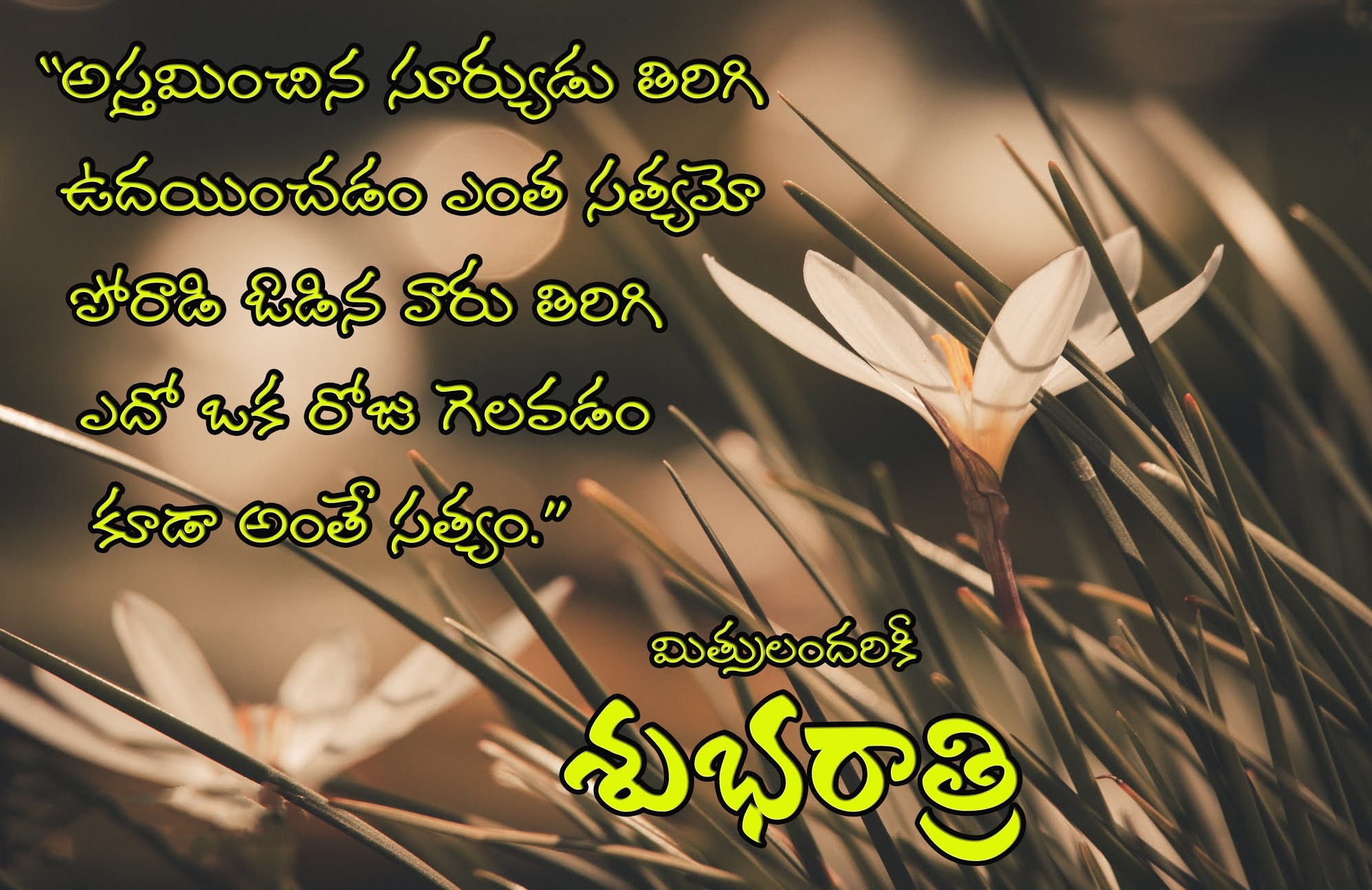 Good Night Images With Quotes Telugu 1