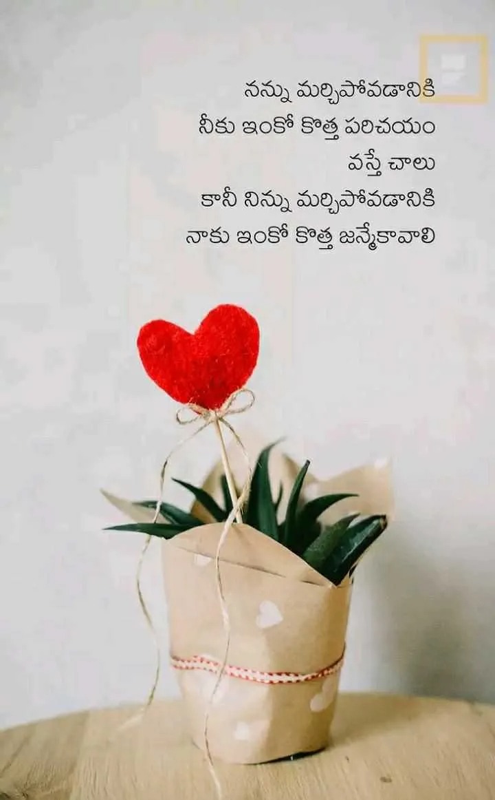 Love Breakup Quotes Telugu