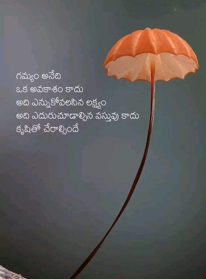 Goal Success Quotes In Telugu