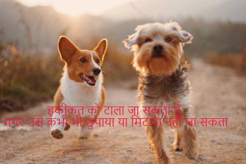 Reality Life Quotes In Hindi 95