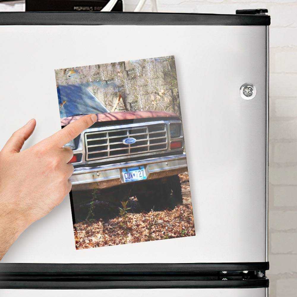 Vice Grip Fridge Magnet Parked For 11 Years Fridge Magnet