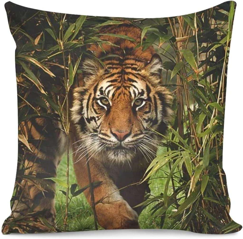 Tiger Throw Pillow, Animal Pillow, Art Pillow, Black White Pillow, Bea –  georgemillerart