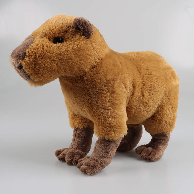 Plush Capybara | Plush Capybara Official Store | Big Discount