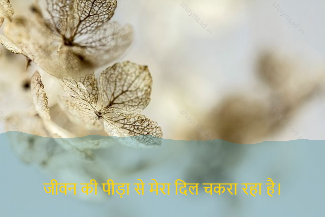 sad shayri (shayari) in hindi for life-जीवन की पीड़ा से मेरा दिल चकरा रहा है।-My heart is palpitating from the agony of life.