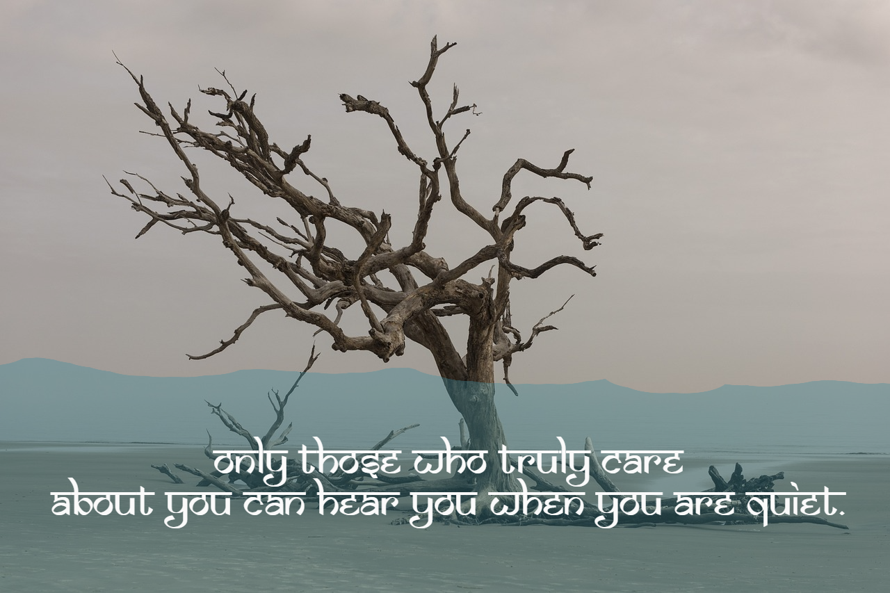 Alone sad Shayari in English-Only those who truly care about you can hear you when you are quiet.